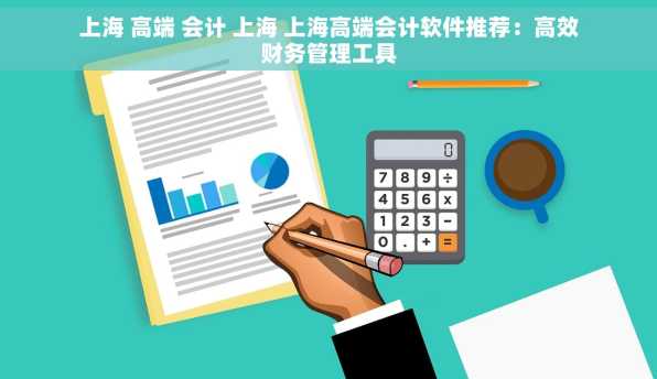 上海 高端 会计 上海 上海高端会计软件推荐：高效财务管理工具