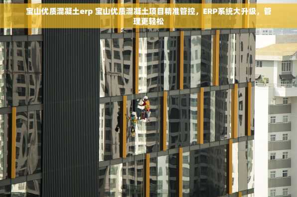 宝山优质混凝土erp 宝山优质混凝土项目精准管控，ERP系统大升级，管理更轻松
