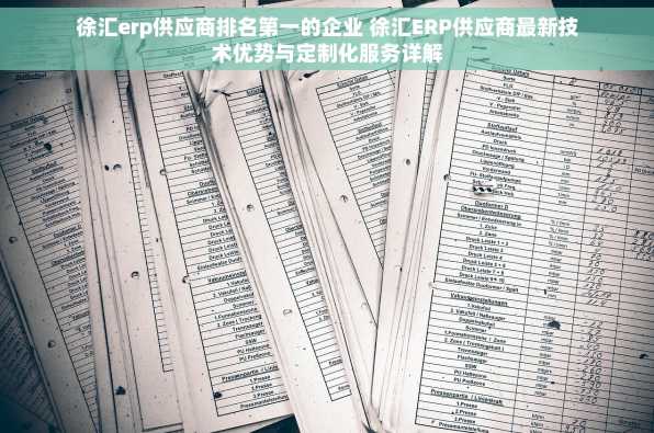 徐汇erp供应商排名第一的企业 徐汇ERP供应商最新技术优势与定制化服务详解