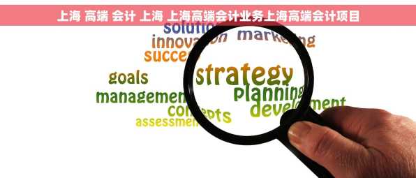 上海 高端 会计 上海 上海高端会计业务上海高端会计项目