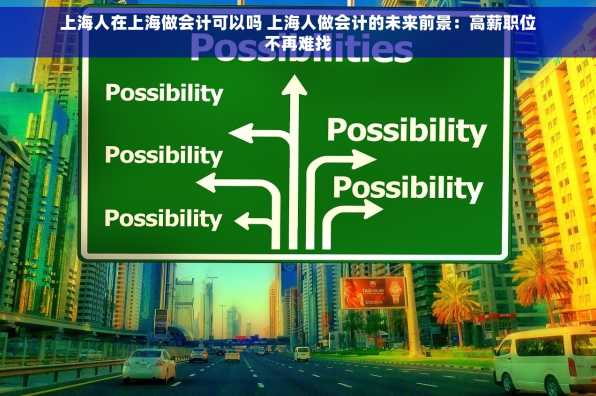 上海人在上海做会计可以吗 上海人做会计的未来前景：高薪职位不再难找