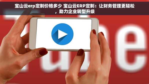 宝山云erp定制价格多少 宝山云ERP定制：让财务管理更轻松，助力企业转型升级
