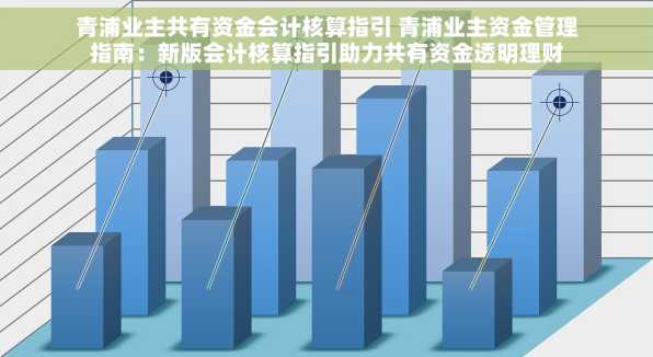 青浦业主共有资金会计核算指引 青浦业主资金管理指南：新版会计核算指引助力共有资金透明理财