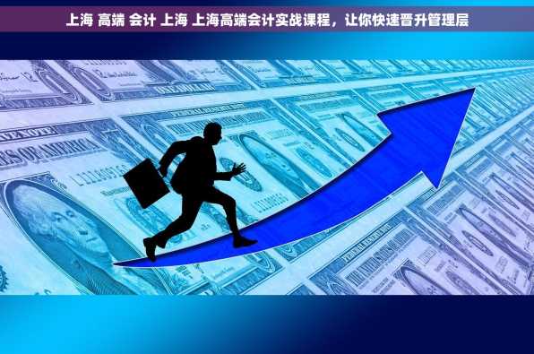 上海 高端 会计 上海 上海高端会计实战课程，让你快速晋升管理层