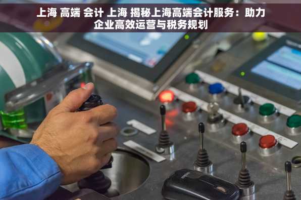 上海 高端 会计 上海 揭秘上海高端会计服务：助力企业高效运营与税务规划
