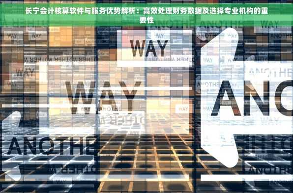 长宁会计核算软件与服务优势解析：高效处理财务数据及选择专业机构的重要性