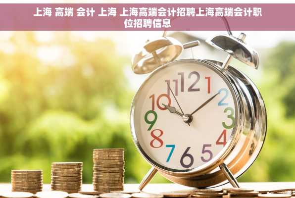 上海 高端 会计 上海 上海高端会计招聘上海高端会计职位招聘信息