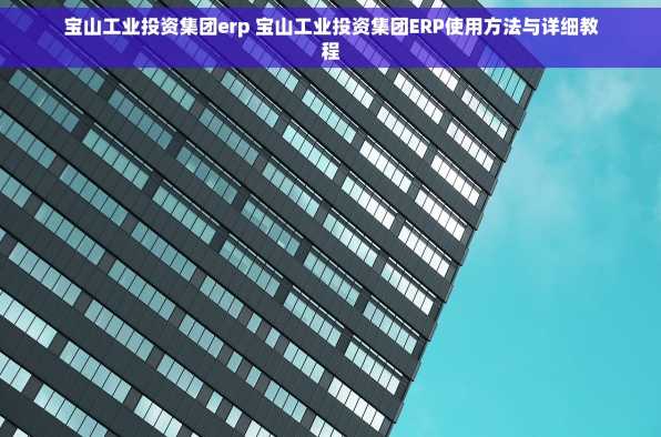 宝山工业投资集团erp 宝山工业投资集团ERP使用方法与详细教程