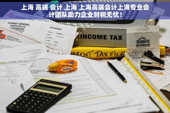 上海 高端 会计 上海 上海高端会计上海专业会计团队助力企业财税无忧！