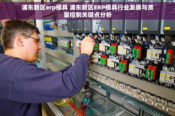 浦东新区erp模具 浦东新区ERP模具行业发展与质量控制关键点分析