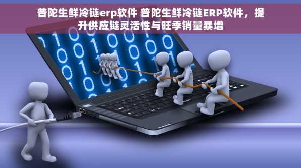 普陀生鲜冷链erp软件 普陀生鲜冷链ERP软件，提升供应链灵活性与旺季销量暴增