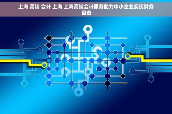 上海 高端 会计 上海 上海高端会计服务助力中小企业实现财务自由