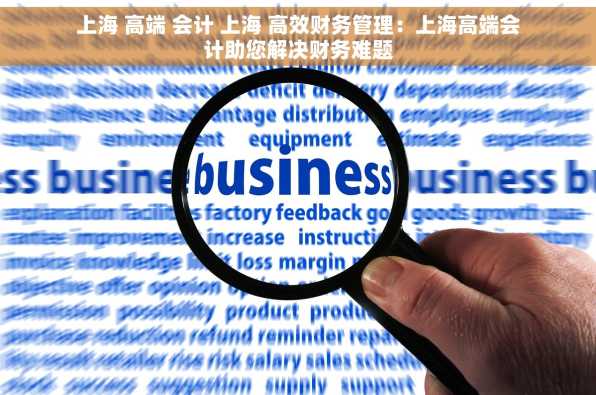 上海 高端 会计 上海 高效财务管理：上海高端会计助您解决财务难题