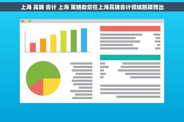上海 高端 会计 上海 策略助您在上海高端会计领域脱颖而出