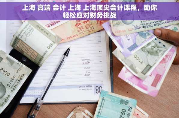 上海 高端 会计 上海 上海顶尖会计课程，助你轻松应对财务挑战