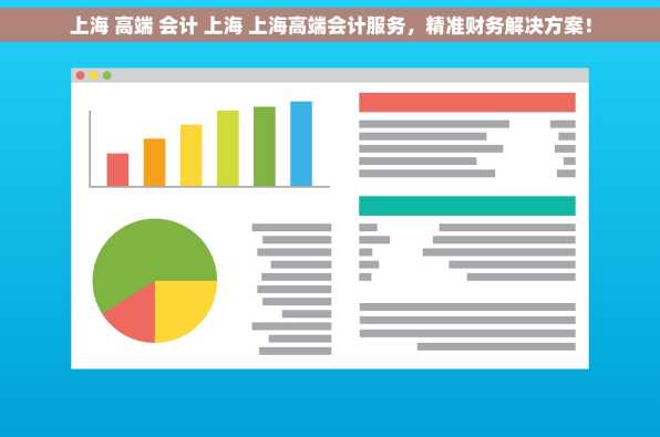 上海 高端 会计 上海 上海高端会计服务，精准财务解决方案！