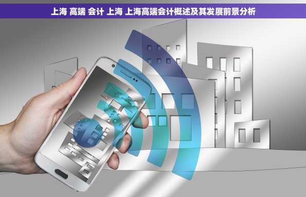 上海 高端 会计 上海 上海高端会计概述及其发展前景分析