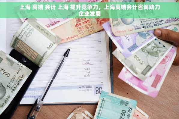 上海 高端 会计 上海 提升竞争力，上海高端会计咨询助力企业发展