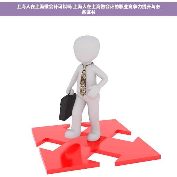 上海人在上海做会计可以吗 上海人在上海做会计的职业竞争力提升与必备证书