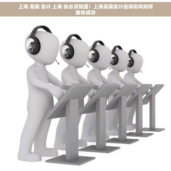 上海 高端 会计 上海 你必须知道！上海高端会计咨询机构如何助你成功
