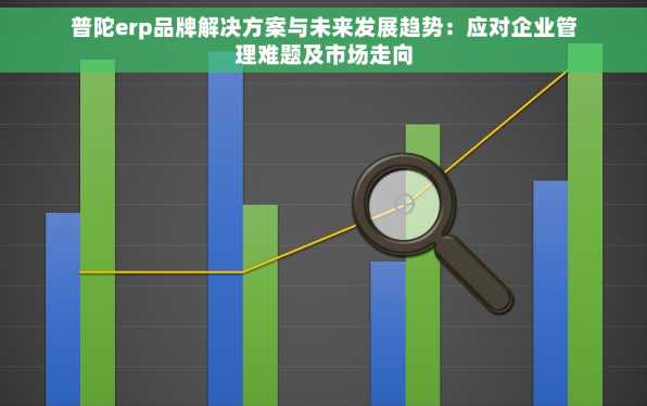 普陀erp品牌解决方案与未来发展趋势：应对企业管理难题及市场走向