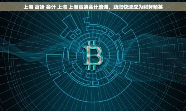 上海 高端 会计 上海 上海高端会计培训，助您快速成为财务精英
