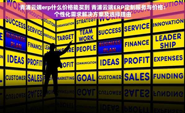 青浦云端erp什么价格能买到 青浦云端ERP定制服务与价格：个性化需求解决方案及选择理由
