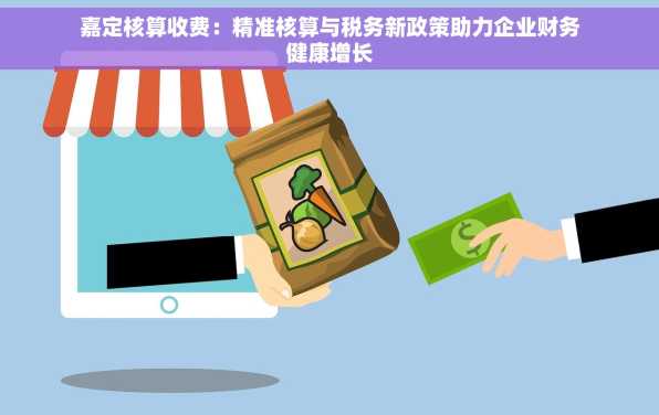 嘉定核算收费：精准核算与税务新政策助力企业财务健康增长