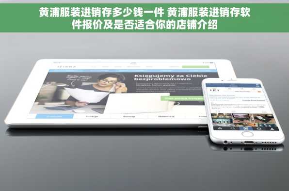 黄浦服装进销存多少钱一件 黄浦服装进销存软件报价及是否适合你的店铺介绍