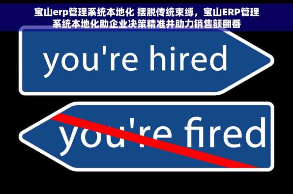 宝山erp管理系统本地化 摆脱传统束缚，宝山ERP管理系统本地化助企业决策精准并助力销售额翻番