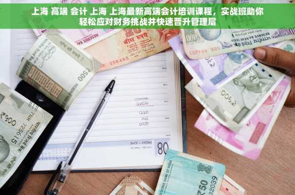 上海 高端 会计 上海 上海最新高端会计培训课程，实战班助你轻松应对财务挑战并快速晋升管理层