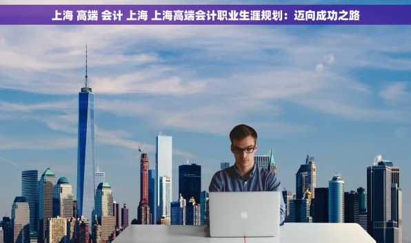 上海 高端 会计 上海 上海高端会计职业生涯规划：迈向成功之路