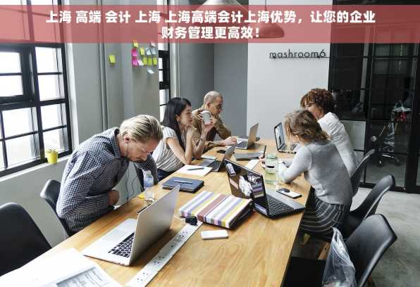 上海 高端 会计 上海 上海高端会计上海优势，让您的企业财务管理更高效！