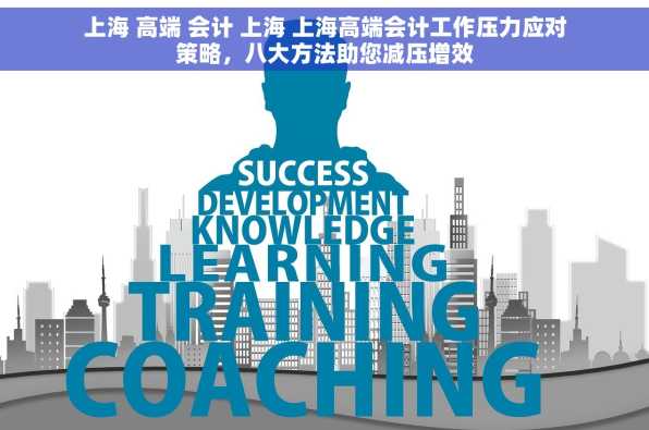 上海 高端 会计 上海 上海高端会计工作压力应对策略，八大方法助您减压增效