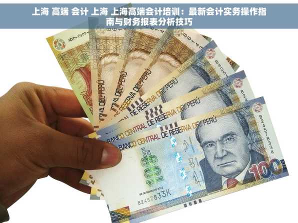 上海 高端 会计 上海 上海高端会计培训：最新会计实务操作指南与财务报表分析技巧