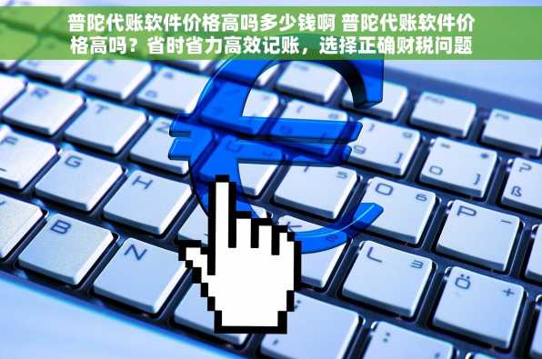 普陀代账软件价格高吗多少钱啊 普陀代账软件价格高吗？省时省力高效记账，选择正确财税问题迎刃而解！