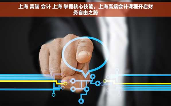上海 高端 会计 上海 掌握核心技能，上海高端会计课程开启财务自由之路