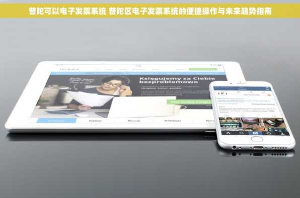 普陀可以电子发票系统 普陀区电子发票系统的便捷操作与未来趋势指南