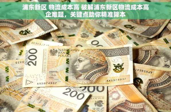 浦东新区 物流成本高 破解浦东新区物流成本高企难题，关键点助你精准降本