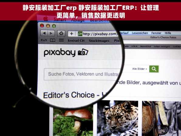 静安服装加工厂erp 静安服装加工厂ERP：让管理更简单，销售数据更透明