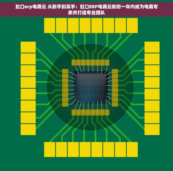 虹口erp电商云 从新手到高手：虹口ERP电商云助您一年内成为电商专家并打造专业团队