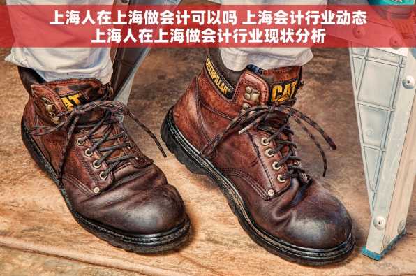 上海人在上海做会计可以吗 上海会计行业动态上海人在上海做会计行业现状分析