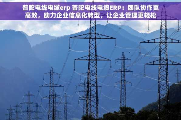 普陀电线电缆erp 普陀电线电缆ERP：团队协作更高效，助力企业信息化转型，让企业管理更轻松