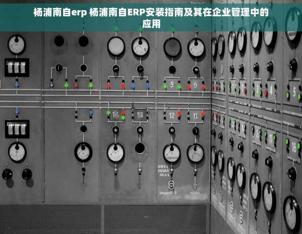 杨浦南自erp 杨浦南自ERP安装指南及其在企业管理中的应用