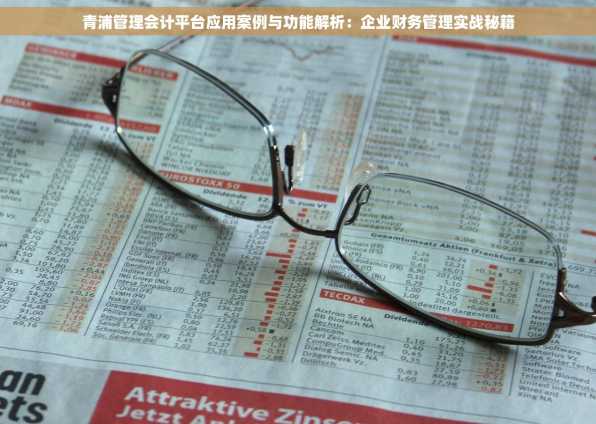 青浦管理会计平台应用案例与功能解析：企业财务管理实战秘籍