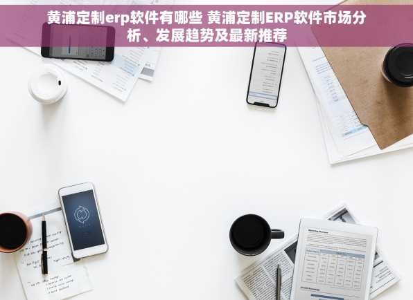 黄浦定制erp软件有哪些 黄浦定制ERP软件市场分析、发展趋势及最新推荐