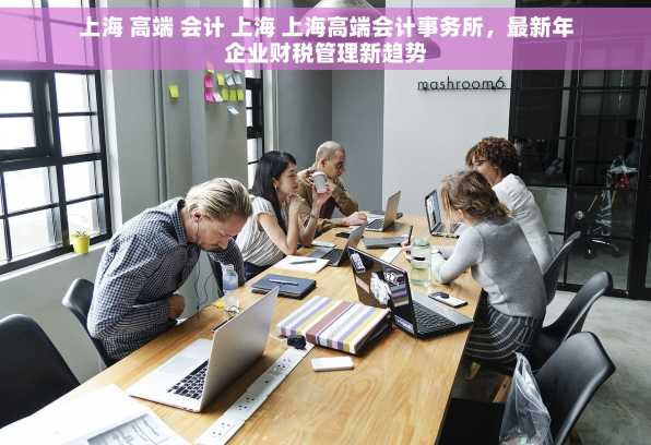 上海 高端 会计 上海 上海高端会计事务所，最新年企业财税管理新趋势