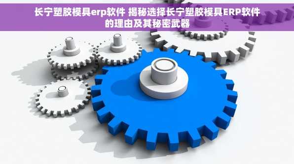 长宁塑胶模具erp软件 揭秘选择长宁塑胶模具ERP软件的理由及其秘密武器