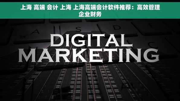 上海 高端 会计 上海 上海高端会计软件推荐：高效管理企业财务