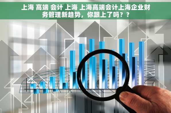上海 高端 会计 上海 上海高端会计上海企业财务管理新趋势，你跟上了吗？？